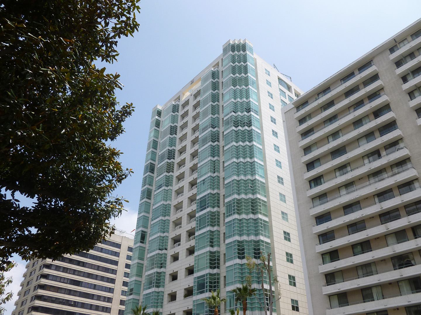 Hawaii high rise construction expert witness